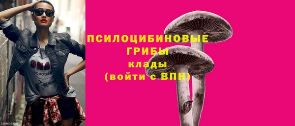 прущая мука Мегион