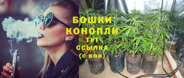 сатива Ладушкин