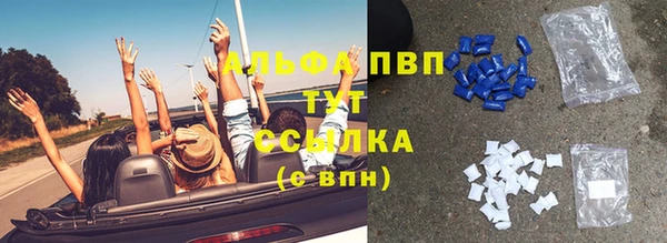 сатива Ладушкин