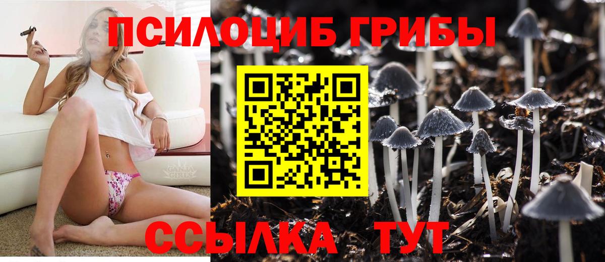 Псилоцибиновые грибы прущие грибы  Вход с VPN  Галлюциногенные грибы MAGIC MUSHROOMS  Дивногорск 