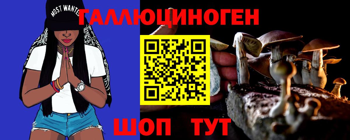 Галлюциногенные грибы Psilocybine cubensis  Галлюциногенные грибы мухоморы  Дивногорск 